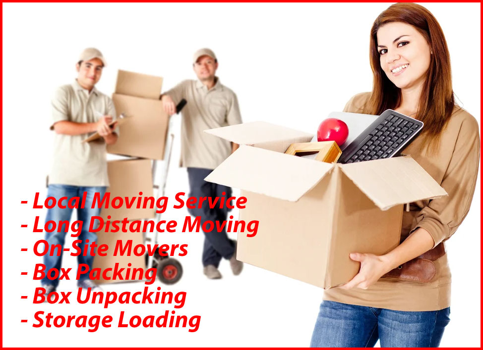 Packers And Movers Noida Sector 166